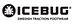 ICEBUG